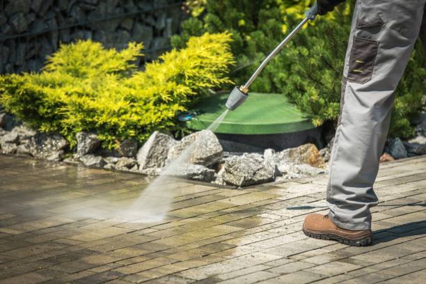 Best Sidewalk and Walkway Cleaning  in Crystal Falls, MI
