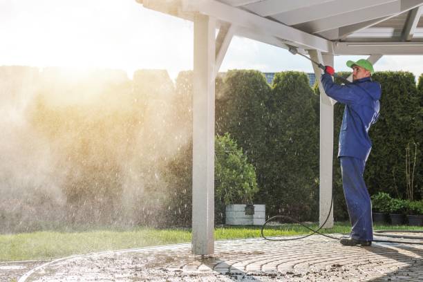 Best Driveway Pressure Washing  in Crystal Falls, MI